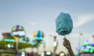 Découvrez la magie sucrée de la Red Bull Cotton Candy, l’édition qui sort du lot !